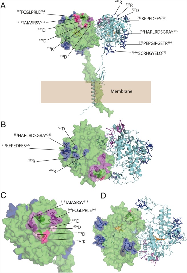 Fig 4