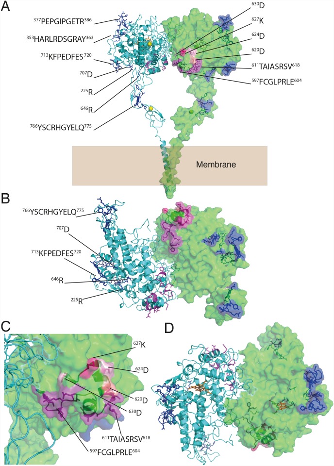 Fig 3