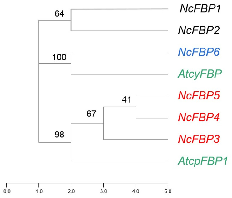 Figure 2