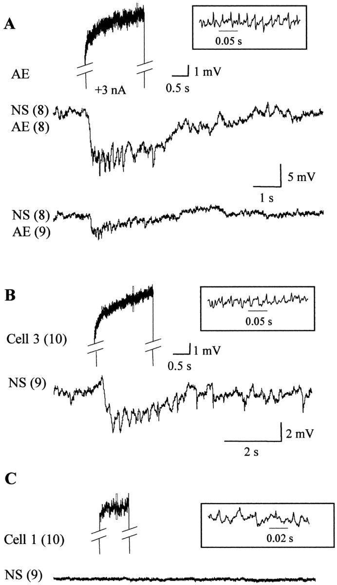 Fig. 9.