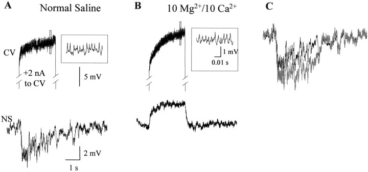 Fig. 8.