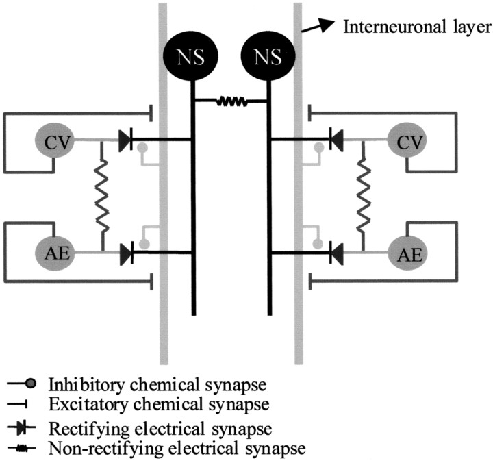 Fig. 12.