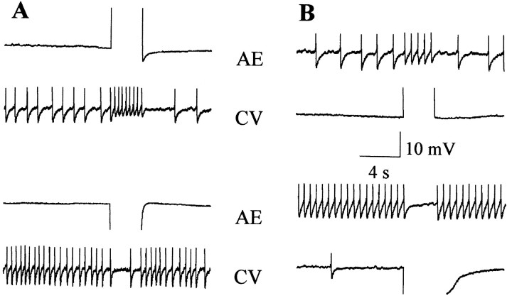 Fig. 11.