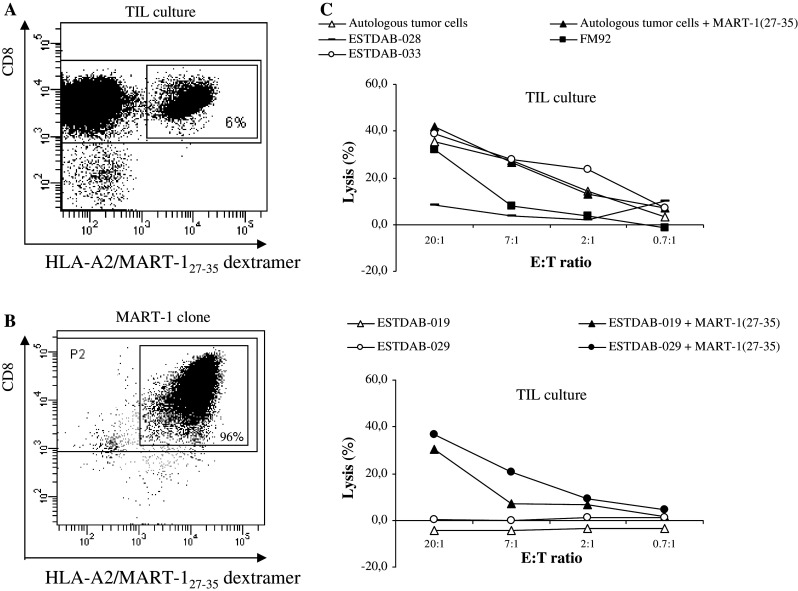 Fig. 6