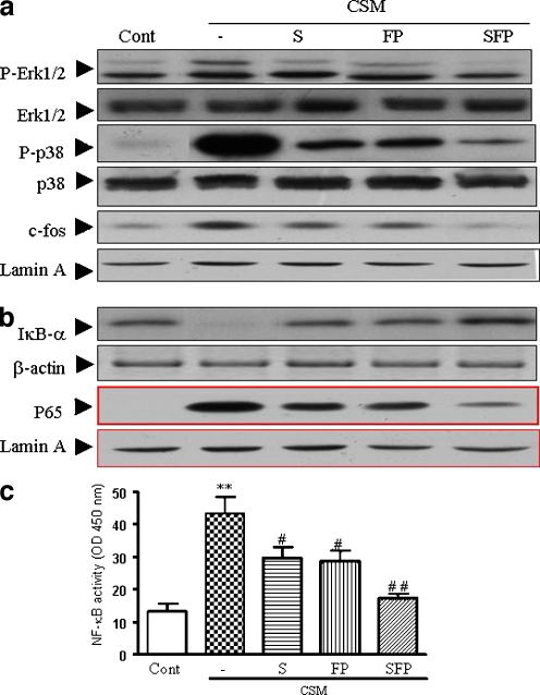 Fig. 7