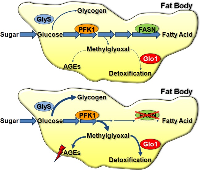 Fig 7