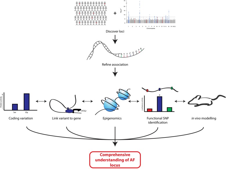 Figure 1