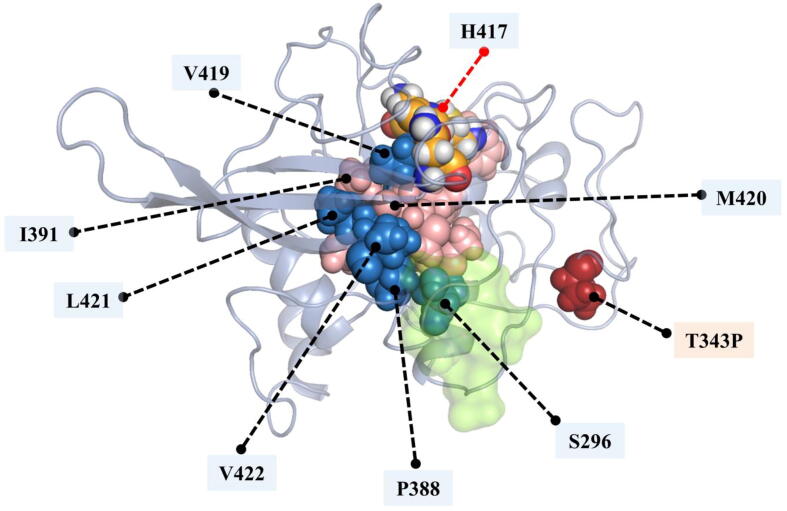 Fig. 12