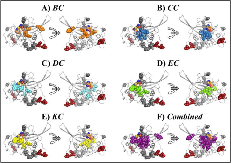 Fig. 7