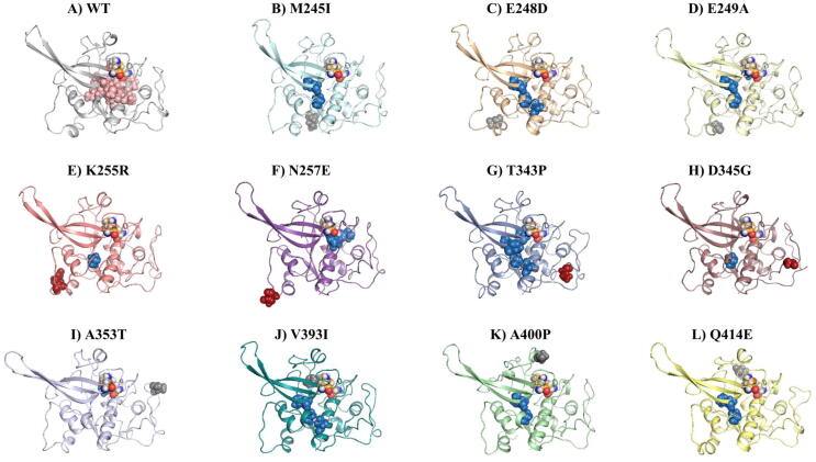 Fig. 11