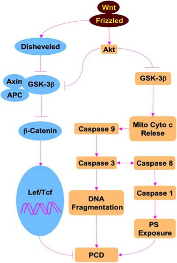 Fig. (1)