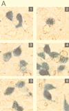 FIG. 9