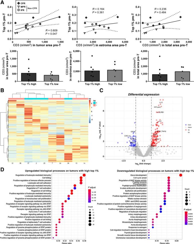 Figure 4. Immune cells and gene expression analysis of tumors with high or low top 1% clonal space. A, Correlation between CD3+ tumor-infiltrating lymphocytes (cells per mm2) and top 1% clonal space in pretreatment tissue. Comparisons between high top 1% and low top 1% patients are shown. P < 0.001 was considered statistically significant after Bonferroni's correction for multiple tests. B, Hierarchical clustered heatmap showing the expression patterns of all genes analyzed across tumors with high (pink) and low (cyan) top 1% clonal space. The red boxes indicate the upregulated genes, and the blue boxes indicate downregulated genes. C, Volcano plot showing the log10 of adjusted P value and log2 fold change of all genes studied. Red (upregulated) and blue (downregulated) dots represent genes with log2 fold change >|1| and statistically significant (adjusted P value <0.05). D, Dot plots of top 25 enriched GO pathways for downregulated and upregulated genes in tumor with high top 1% clonal space versus tumors with low top 1% clonal space.