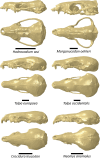 FIGURE 3