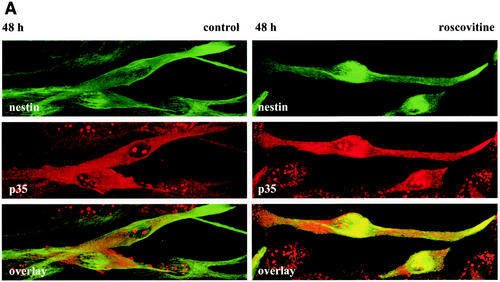 FIG. 9.