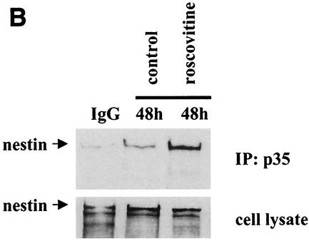 FIG. 9.