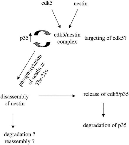 FIG. 10.