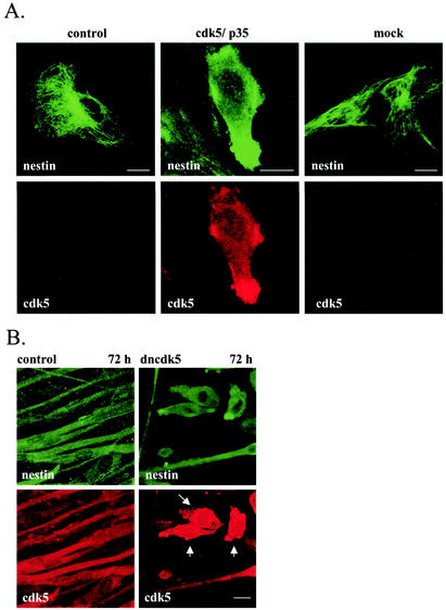 FIG. 7.