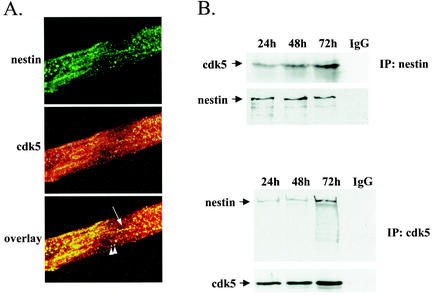 FIG. 6.