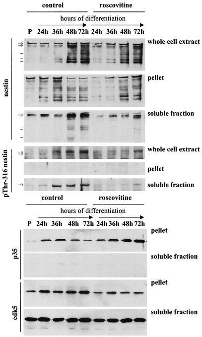 FIG. 8.