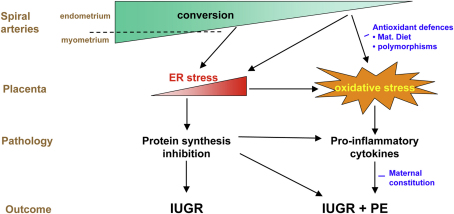 Fig. 3