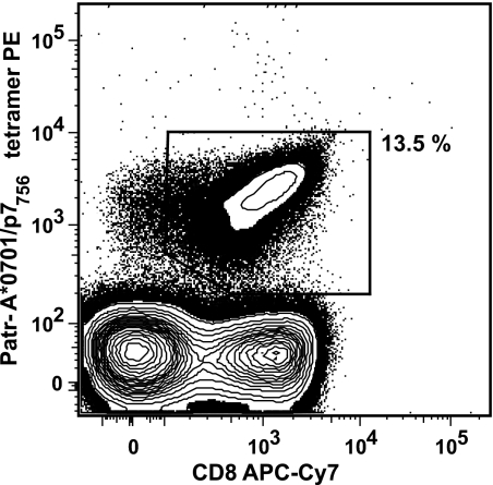 FIG. 1.