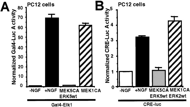 Fig. 9.