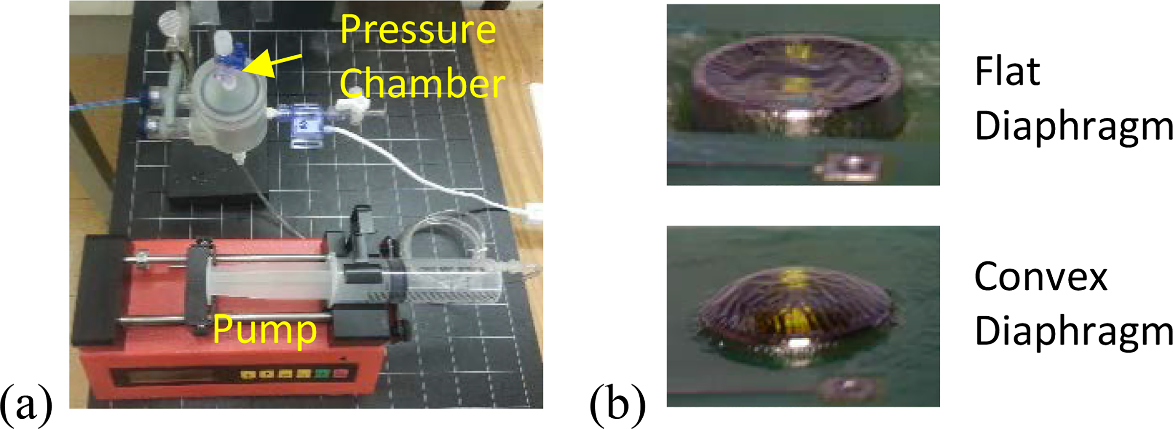 Figure 3: