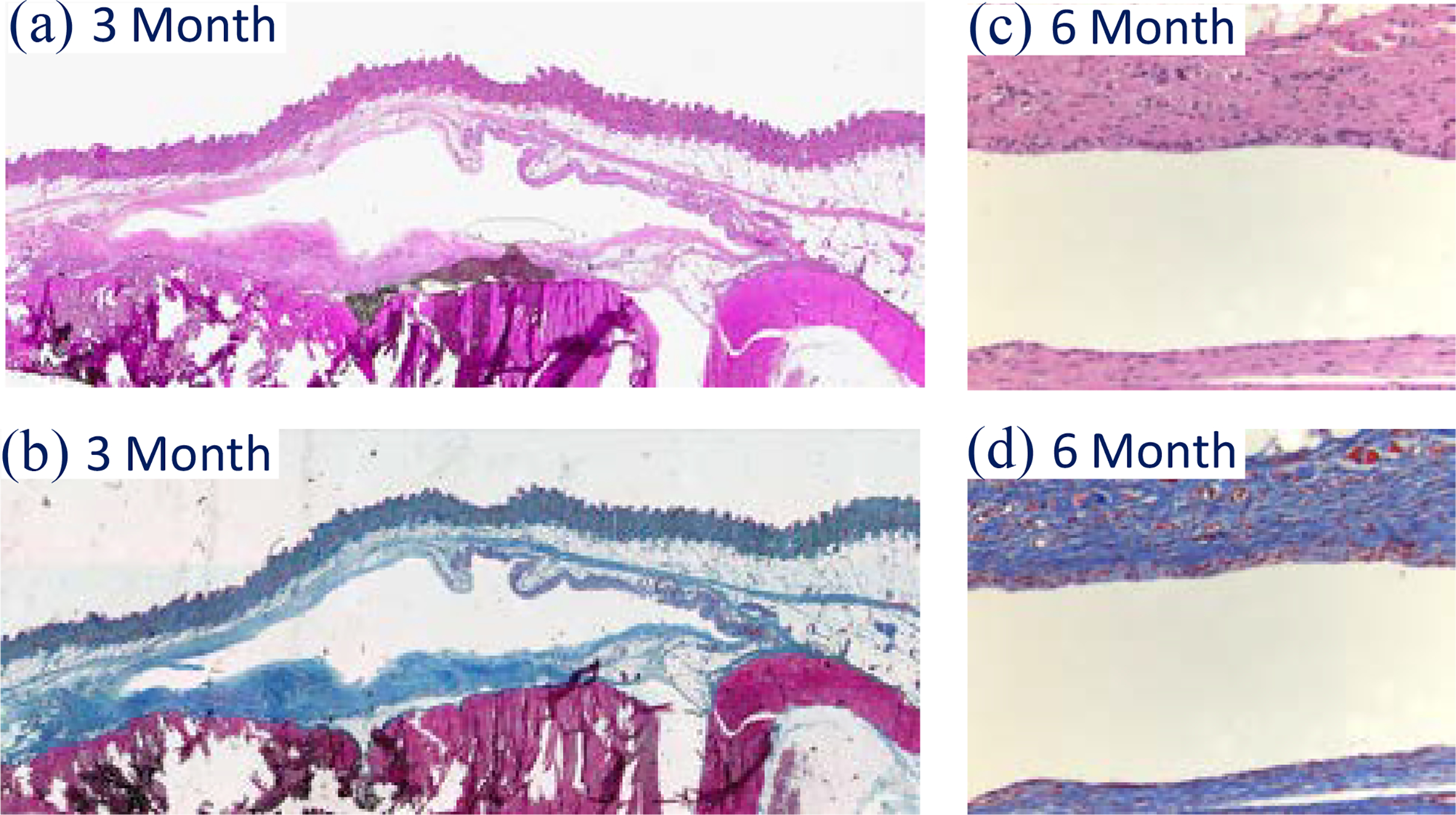 Figure 6: