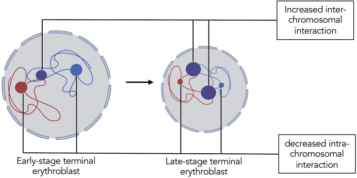 Figure 6