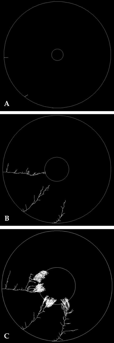 Fig. 5