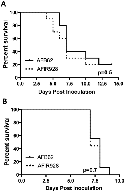 FIG 4 