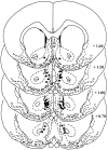 Fig. 8.