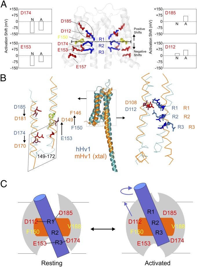 Fig. 6.