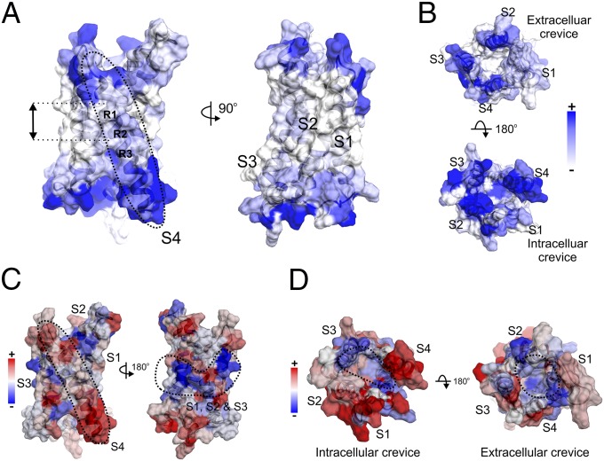 Fig. 4.