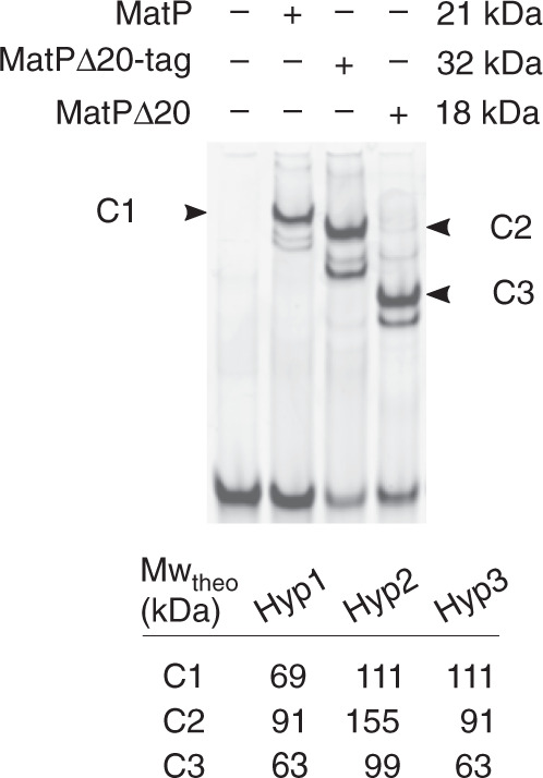 Fig. 7