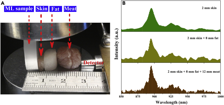 Figure 7