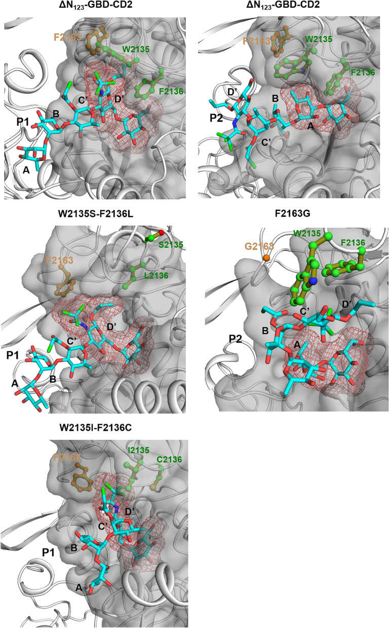 Figure 7