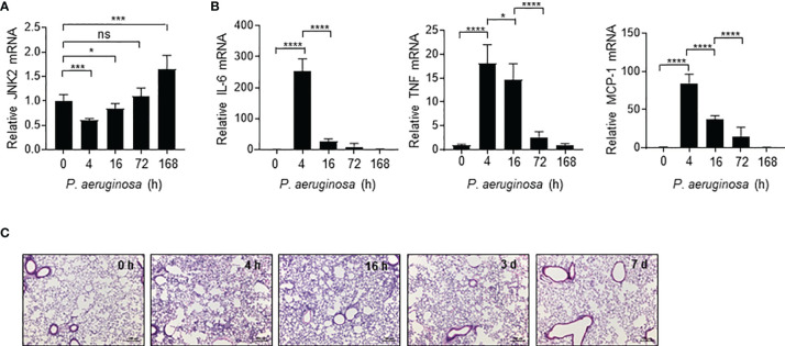 Figure 5