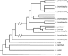 FIG. 1.