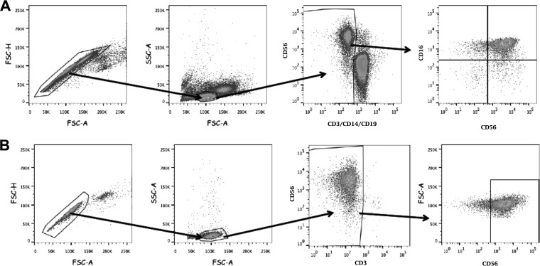 FIG 2