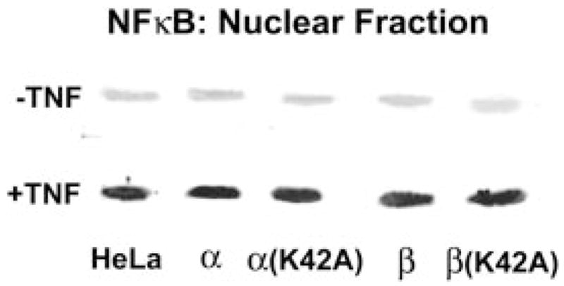 FIG. 9