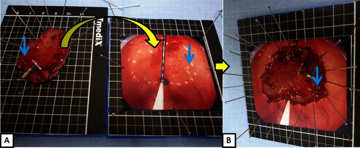 Fig. 7