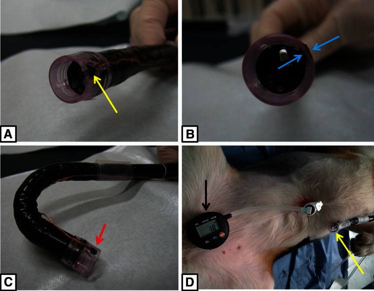 Fig. 2