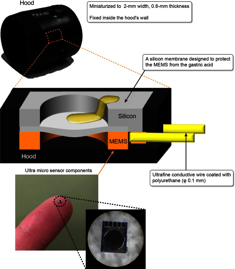 Fig. 1