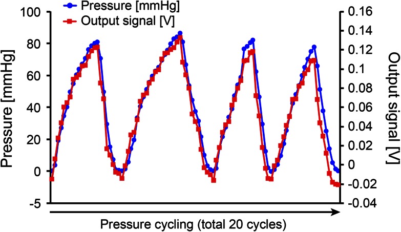 Fig. 4