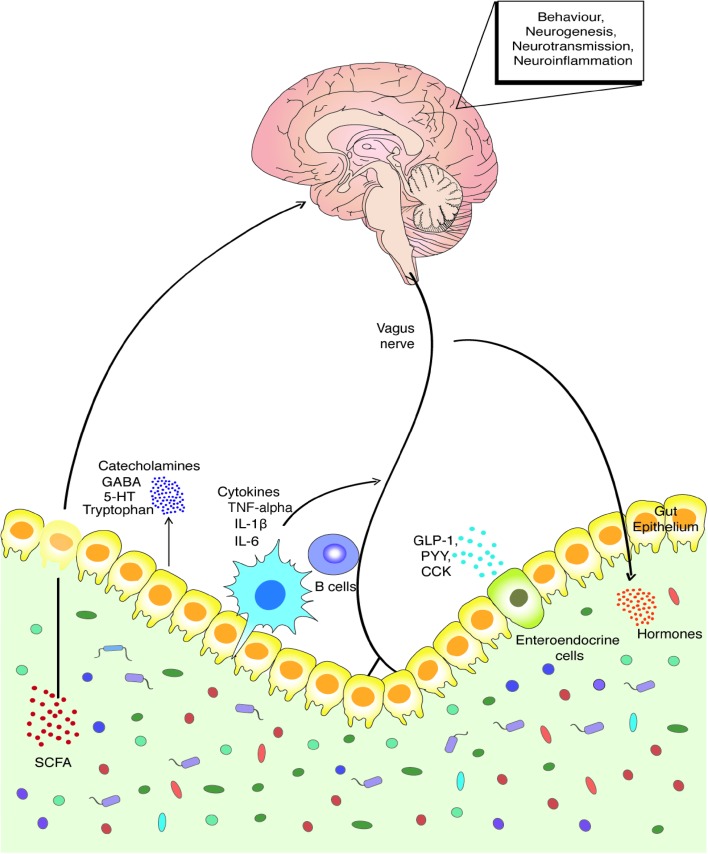 Fig. 1