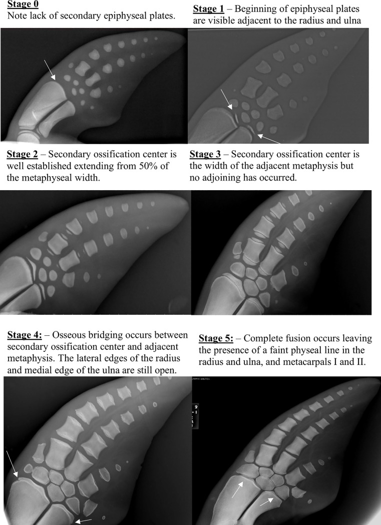 Fig 10