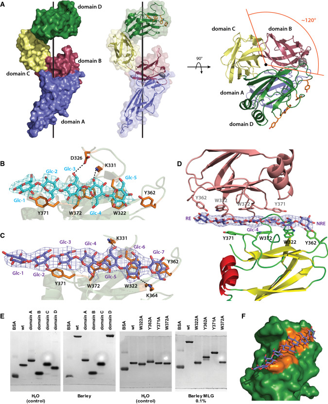 Fig. 4