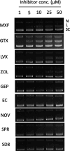 Figure 4